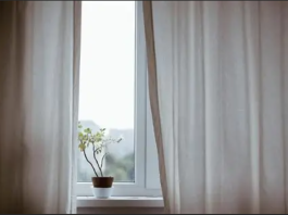 Stavite cimet na prozore, stručnjaci tvrde da je razlog i više nego dobar