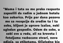 “Mama i tata su me preko raspusta zaposlili da radim u jednom hotelu…” “Mama i tata su me preko raspusta zaposlili da radim u jednom hotelu…” - featured image