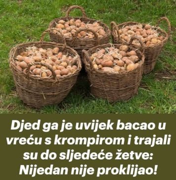 Djed ga je uvijek bacao u vreću s krompirom i trajali su do sljedeće žetve: Nijedan nije proklijao! Djed ga je uvijek bacao u vreću s krompirom i trajali su do sljedeće žetve: Nijedan nije proklijao! - featured image