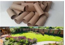 Ne bacajte rolnu toalet papira: Jedna žena je napravila čudo – i svi će ovog proleća posmatrati njeno dvorište Ne bacajte rolnu toalet papira: Jedna žena je napravila čudo – i svi će ovog proleća posmatrati njeno dvorište - featured image