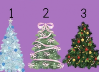 Test! Izaberite najljepšu jelku i saznajte šta vas očekuje za praznike