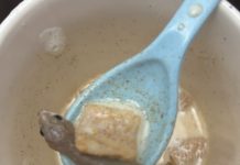 Pojela je pola šolje MUSLIJA, a onda kašikom zahvatila OVO – I ŽIVOT JOJ SE SMUČIO: TO se sve vreme nalazilo u hrani, a kad se obratila proizvođačima – dobila je ŠOK ODGOVOR