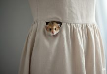 Šokantno: Žena kupila Zarinu haljinu pa u njoj pronašla ušivenog miša