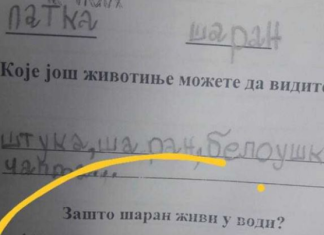 Na pitanje “zašto šaran živi u vodi” đak prvak dao URNEBESAN ODGOVOR: Kad malo bolje razmislite, zapravo je GENIJALAN