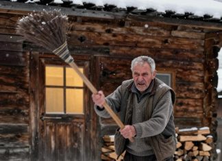 Otjerao je psa iz dvorišta — jutro mu je donijelo strašnu istinu