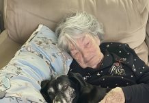 Mislila sam da me je baka zaboravila, dok nisam pogledala ogrlicu njenog psa