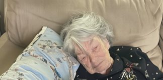 Mislila sam da me je baka zaboravila, dok nisam pogledala ogrlicu njenog psa