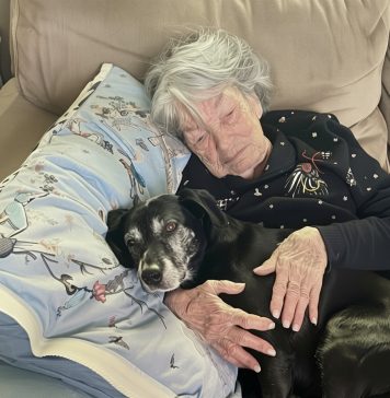 Mislila sam da me je baka zaboravila, dok nisam pogledala ogrlicu njenog psa