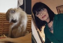 Nada Obrić živela sa majmunom, hranila ga, sa sobom vodila: Nije ni slutila šta će je te večeri snaći u podrumu