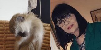 Nada Obrić živela sa majmunom, hranila ga, sa sobom vodila: Nije ni slutila šta će je te večeri snaći u podrumu