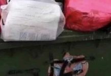 Morate vidjeti što je netko pronašao u kontejneru za smeće, prizor je ujedno urnebesan i tužan
