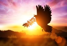 Na koja vrata biste sada pokucali bez razmišljanja? Evo šta to otkriva o vama