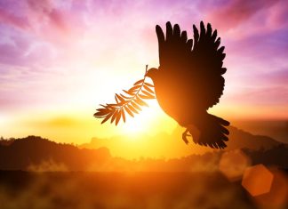 Na koja vrata biste sada pokucali bez razmišljanja? Evo šta to otkriva o vama