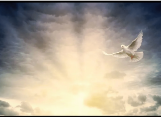 Sanjate pokojne roditelje? Stručnjaci upozoravaju, ovo su 3 razloga zašto vam dolaze u san