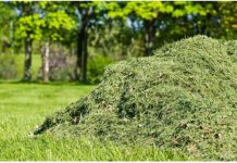NIKAD NEMOJTE BACATI POKOŠENU TRAVU, samo uradite ovo! Bolje od 100 gnojiva!