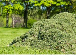 NIKAD NEMOJTE BACATI POKOŠENU TRAVU, samo uradite ovo! Bolje od 100 gnojiva!