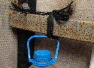 Radnik iz BiH napravio je držač za wc papir u zajedničkom toaletu i nasmijao kolege, fotka je hit