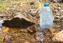 “DOVODILI JE NA IZVOR I UMIVALI… SAMO JE PROGLEDALA” Meštani veruju da se na ovom mestu u Srbiji dešavaju velika čuda