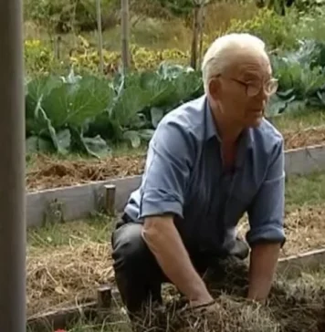 20 GODINA NIJE KOPAO, ZALIVAO NI ĐUBRIO BAŠTU, A OPET IZVADI I DO 2 TONE KROMPIRA: Cijeli svijet mu se divi zbog ovog IZUMA