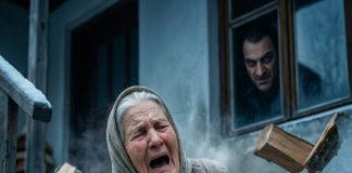 Snaha je natjerala baku da po mrazu nosi drva dok nije pala, a tajna koja je isplivala u bolnici srušila je cijelu porodicu