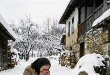 Zla svekrva je bacila otrov uličnom psu u snijeg, a tri godine kasnije ta ista životinja je iz ledene šume donijela njenog unuka