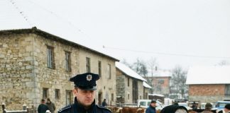 Majka je po snegu prodavala tele da plati ćerkinu sahranu, a onda je pred nju na kolena pao doktor
