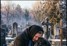 Udovica je svakog dana viđala psa na muževljevom grobu, a kada je saznala istinu briznula je u plač