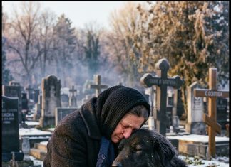 Udovica je svakog dana viđala psa na muževljevom grobu, a kada je saznala istinu briznula je u plač