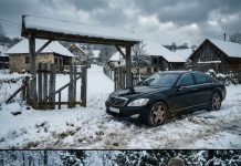 Vratio se iz Švedske u skupom autu tražeći majku, a onda mu je komšija rekao surovu istinu