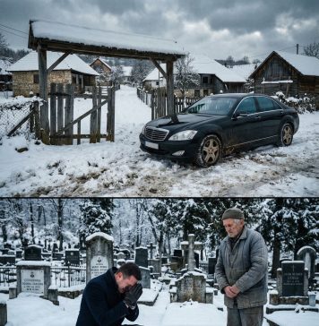 Vratio se iz Švedske u skupom autu tražeći majku, a onda mu je komšija rekao surovu istinu