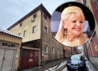 “HANKA PALDUM NE IZLAZI IZ ORONULE KUĆE, OSIM KOD SINA U ZATVOR” Komšije slavne pevačice oplele: Teško joj pada bruka, dotuklo je kad je ovo uradio (FOTO)