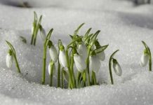 Uskoro ‘udara’ i treće džemre: Šta kaže narodni kalendar za 2026. godinu?