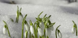 Uskoro ‘udara’ i treće džemre: Šta kaže narodni kalendar za 2026. godinu?