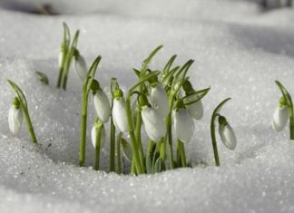 Uskoro ‘udara’ i treće džemre: Šta kaže narodni kalendar za 2026. godinu?