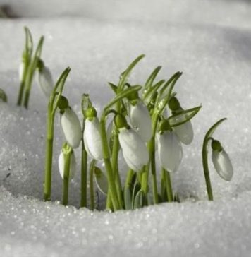 Uskoro ‘udara’ i treće džemre: Šta kaže narodni kalendar za 2026. godinu?