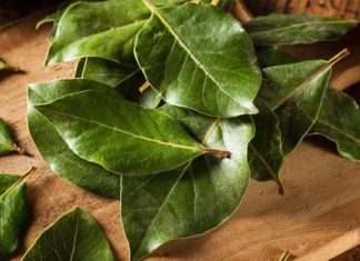 Jaki krvni sudovi u 90. godini! 1 čaša ujutro protiv mokraćne kiseline, za zdravo srce i jetru!