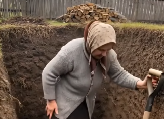 Svi u selu su mislili da je starica izgubila razum kad je počela da kopa nasred dvorišta, ali ono što je iskopala zaledilo je svima krv u žilama