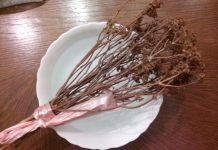 Veliki greh je da se prospe: A šta je ispravno uraditi sa starom, kada uzmemo novu osveštanu vodu?