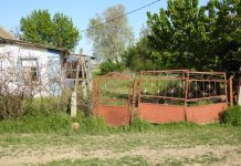 10 grešaka u održavanju dvorišta koje odmah kvare prvi utisak o kući: Odaju lošu sliku o vlasniku