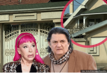 NACIJA U SUZAMA ZBOG ĆERKE ZORICE BRUNCLIK: Poslednje reči koje je objavila KIDAJU DUŠU, obratila mu se direktno! (FOTO)