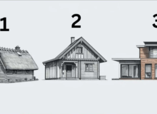 TEST! U KOJOJ KUĆI BISTE ŽIVJELI? Evo šta to govori o vama, OPREZ-SVIMA JE POGODILO!