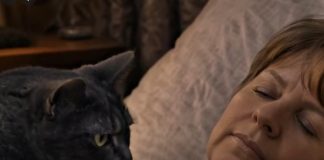 Mačka je svake noći budila svoju vlasnicu i tjerala je iz spavaće sobe: žena je mislila da mačka ima psihičke probleme, sve dok je nije odvela veterinaru.