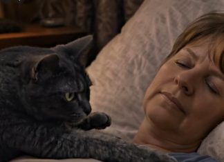 Mačka je svake noći budila svoju vlasnicu i tjerala je iz spavaće sobe: žena je mislila da mačka ima psihičke probleme, sve dok je nije odvela veterinaru.