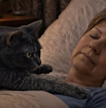 Mačka je svake noći budila svoju vlasnicu i tjerala je iz spavaće sobe: žena je mislila da mačka ima psihičke probleme, sve dok je nije odvela veterinaru.