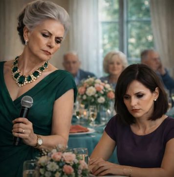 Ispunila sam molbu majke i otišla iz njenog života — i tek tada joj se svet raspao…