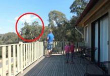 OTAC ILIJA UHVAĆEN SA ĆERKAMA NA BALKONU, MAJKA ODMAH IZLETJELA: Vrištali su dok su to radili (VIDEO)