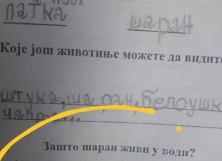 Na pitanje “zašto šaran živi u vodi” đak prvak dao URNEBESAN ODGOVOR: Kad malo bolje razmislite, zapravo je GENIJALAN