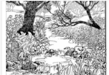 Mnogi su probali, ali nisu uspeli: Svako ko pronađe ženu na fotografiji ima natprosečnu inteligenciju