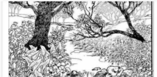 Mnogi su probali, ali nisu uspeli: Svako ko pronađe ženu na fotografiji ima natprosečnu inteligenciju