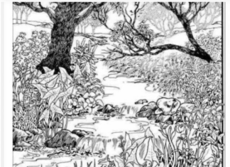 Mnogi su probali, ali nisu uspeli: Svako ko pronađe ženu na fotografiji ima natprosečnu inteligenciju